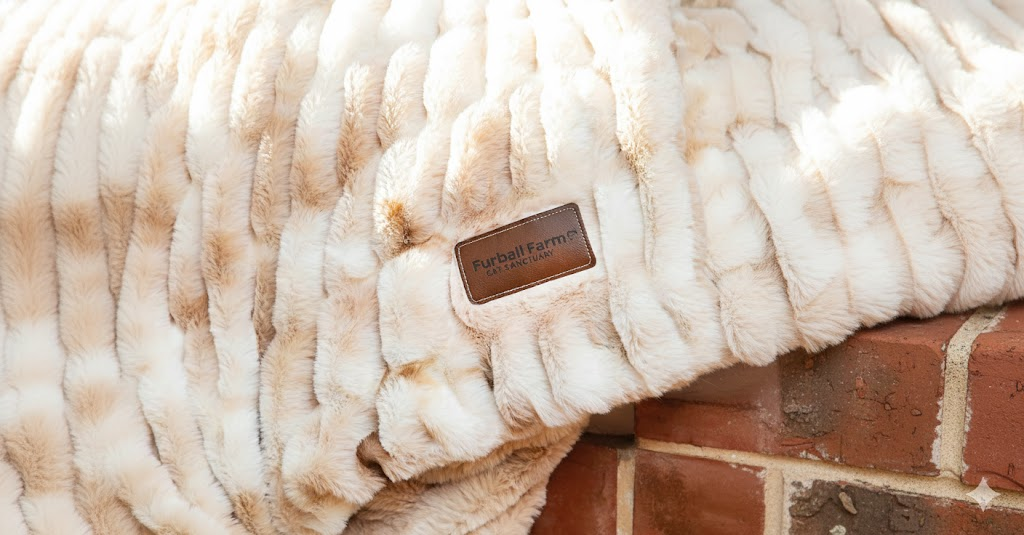 FFCS Plush Blanket