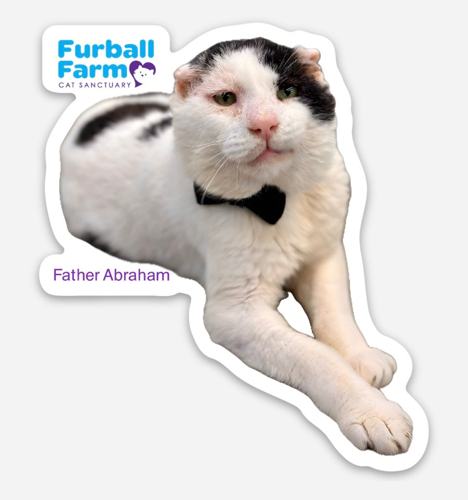Furball Farm Cat Magnet
