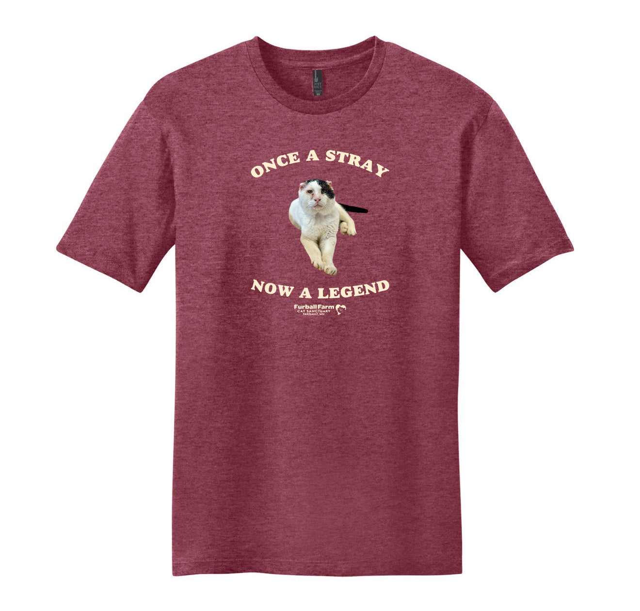 Abraham Shirt of The Month