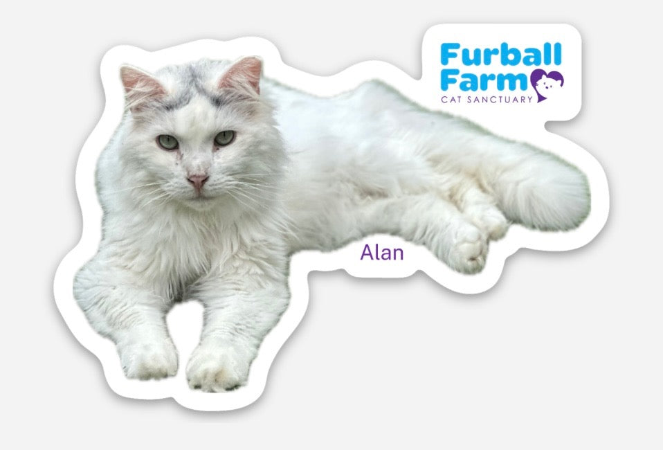 Furball Farm Cat Magnet