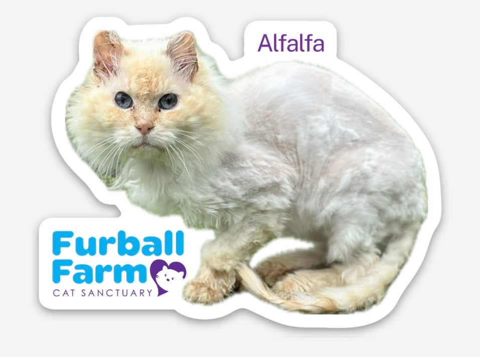 Furball Farm Cat Magnet