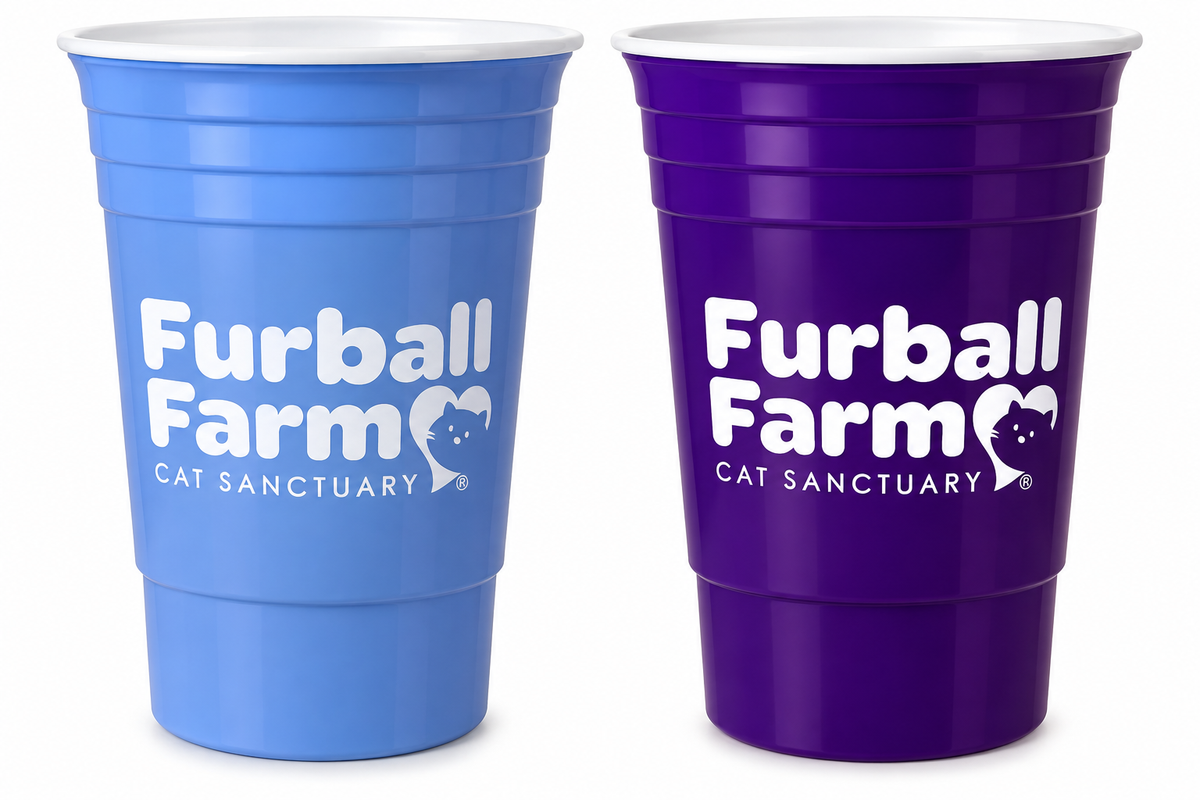 Furball Cup