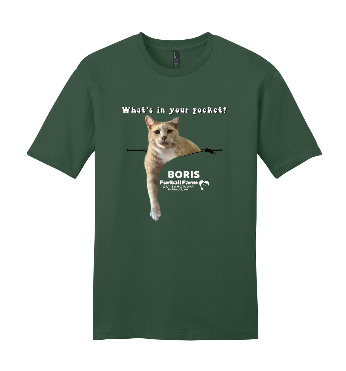 Boris - Cat of the Month - December 2024