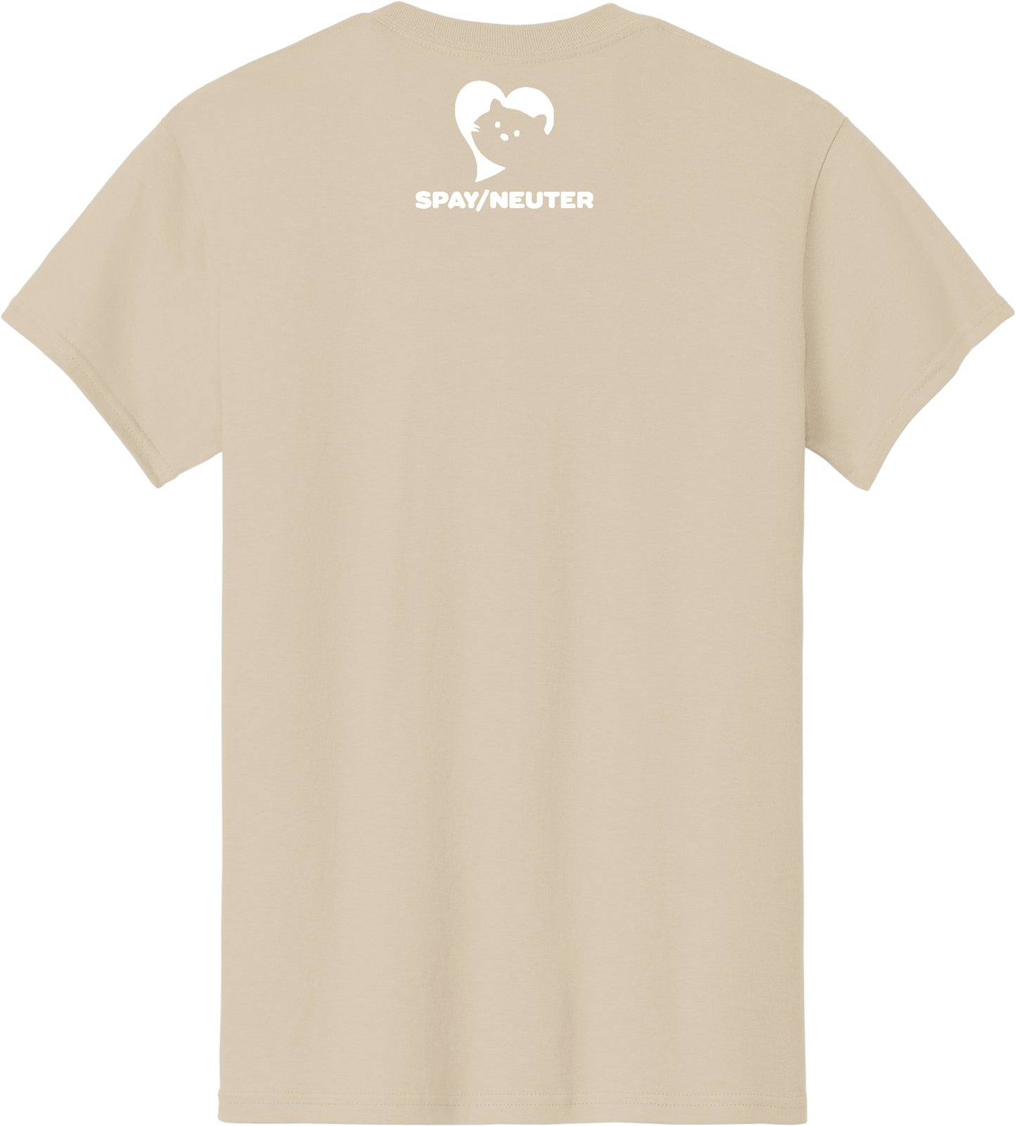 Drew Campfire Cat of the Month June 2025