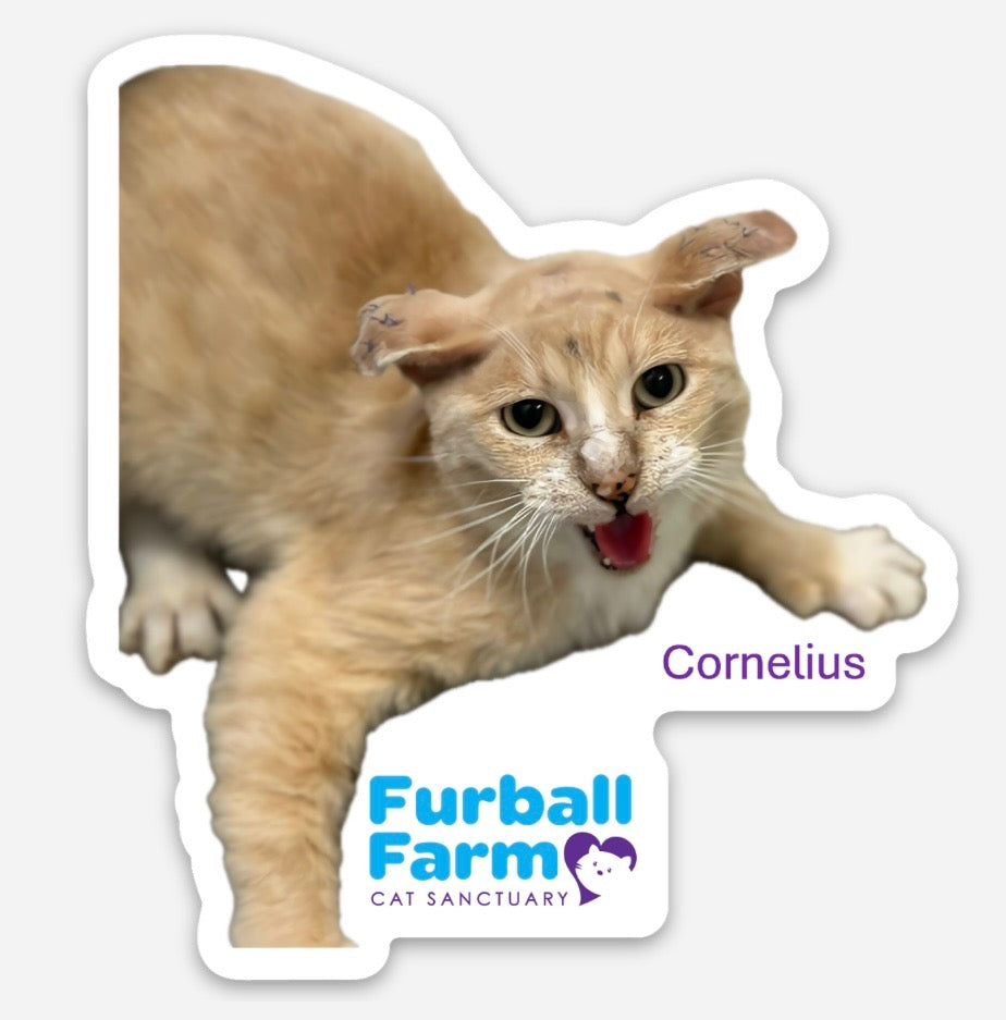 Furball Farm Cat Magnet