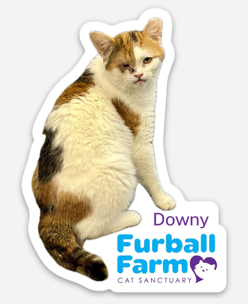 Furball Farm Cat Magnet