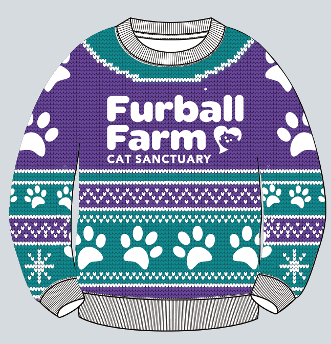FFCS Holiday Sweater