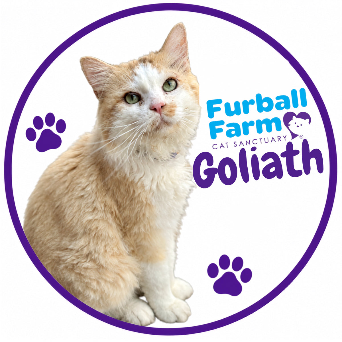 Furball Farm Cat Magnet