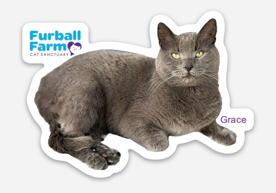 Furball Farm Cat Magnet