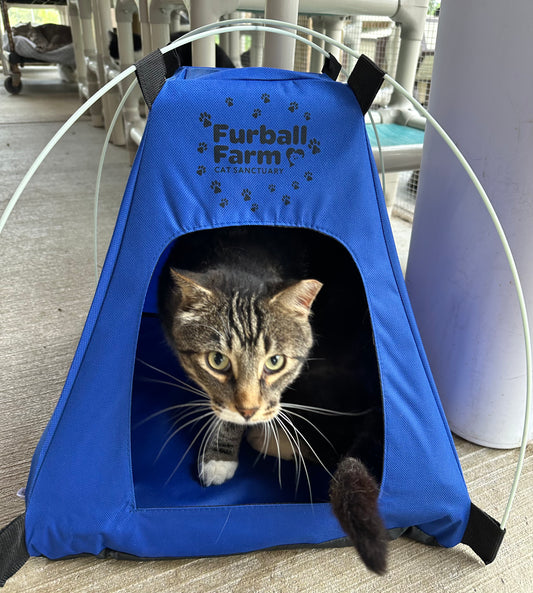 Cat Tent - FFCS
