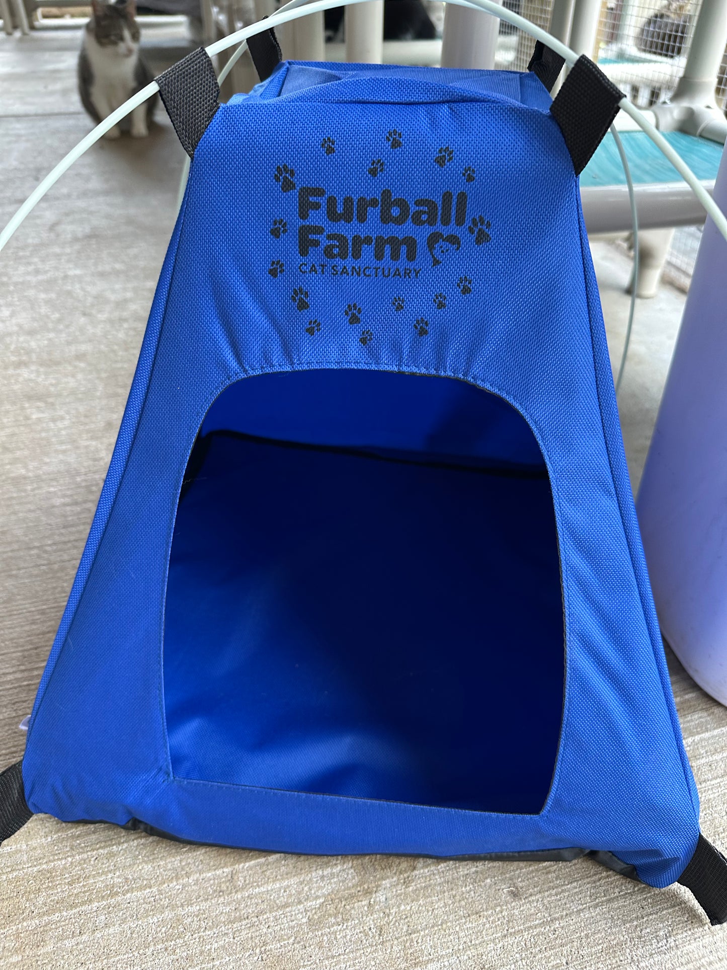 Cat Tent - FFCS