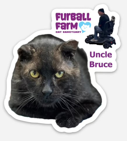Furball Farm Cat Magnet