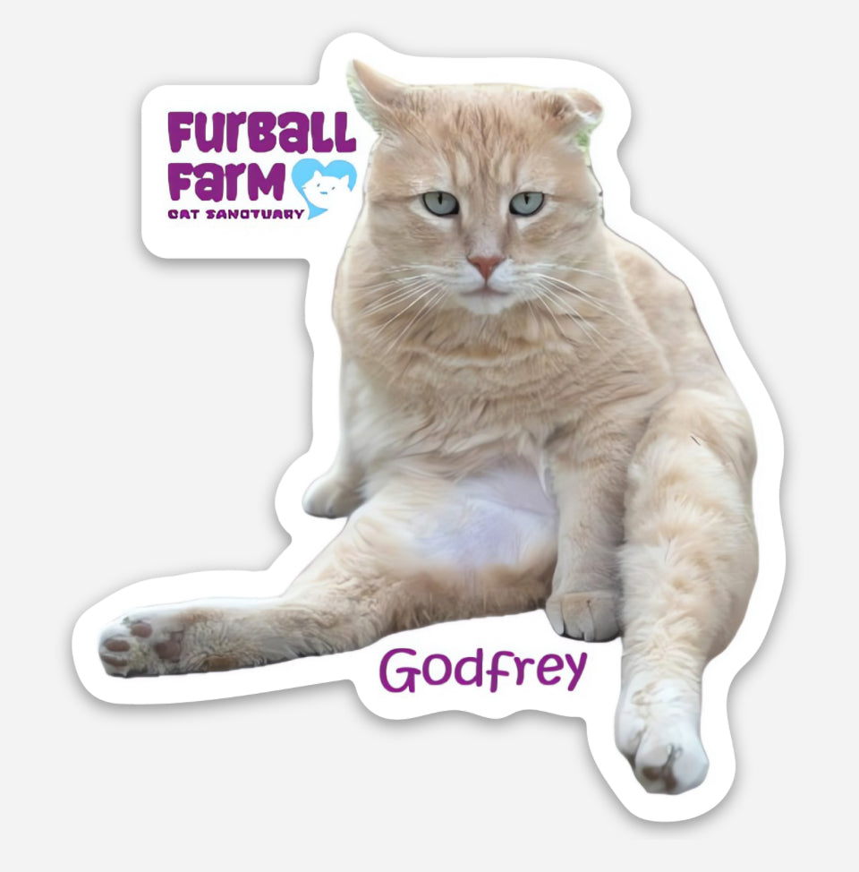 Furball Farm Cat Magnet