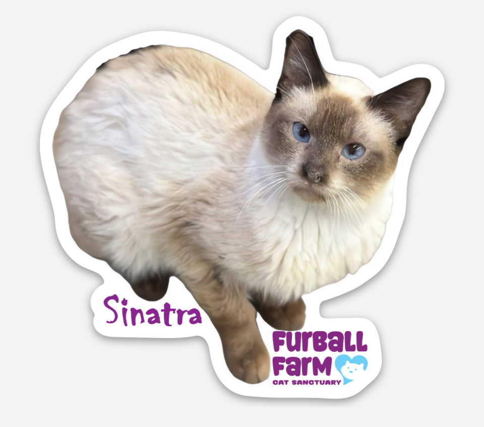 Furball Farm Cat Magnet