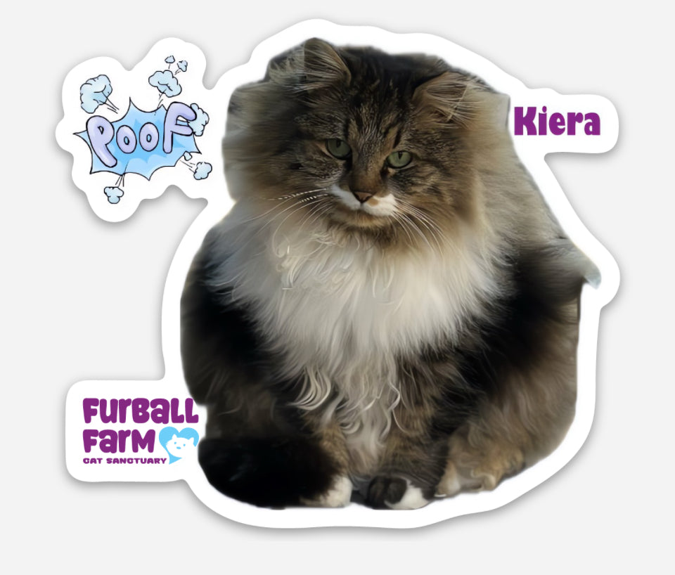 Furball Farm Cat Magnet