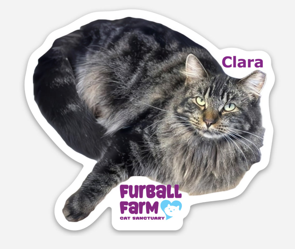 Furball Farm Cat Magnet
