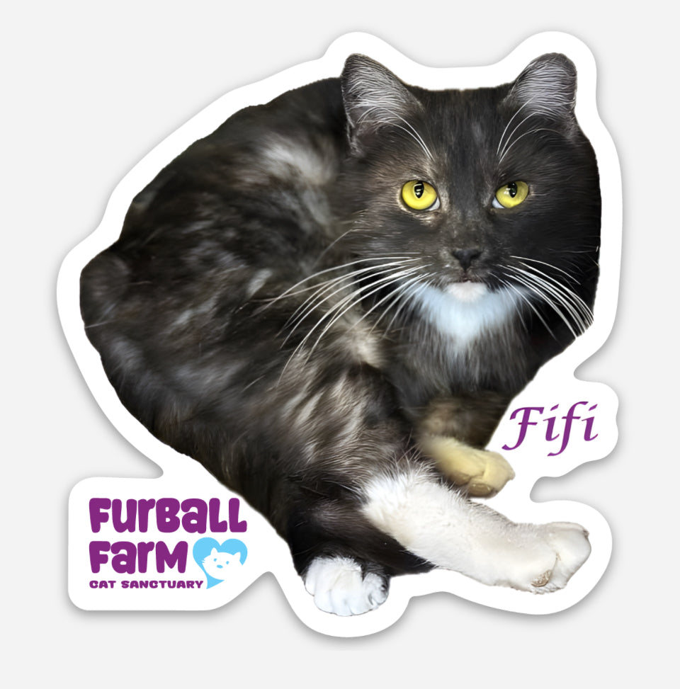 Furball Farm Cat Magnet