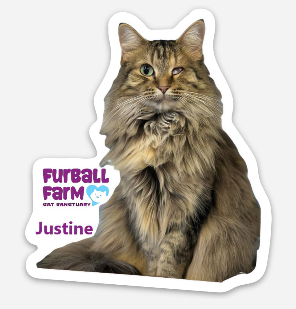 Furball Farm Cat Magnet