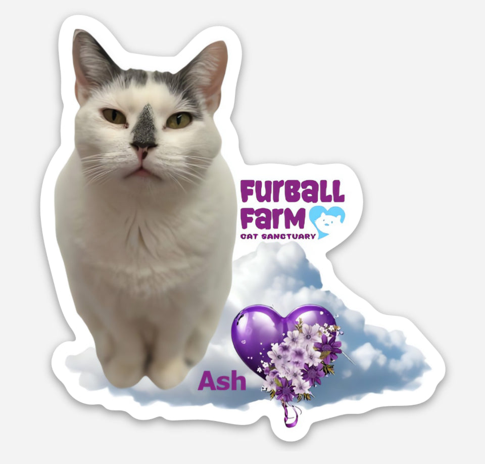 Furball Farm Cat Magnet