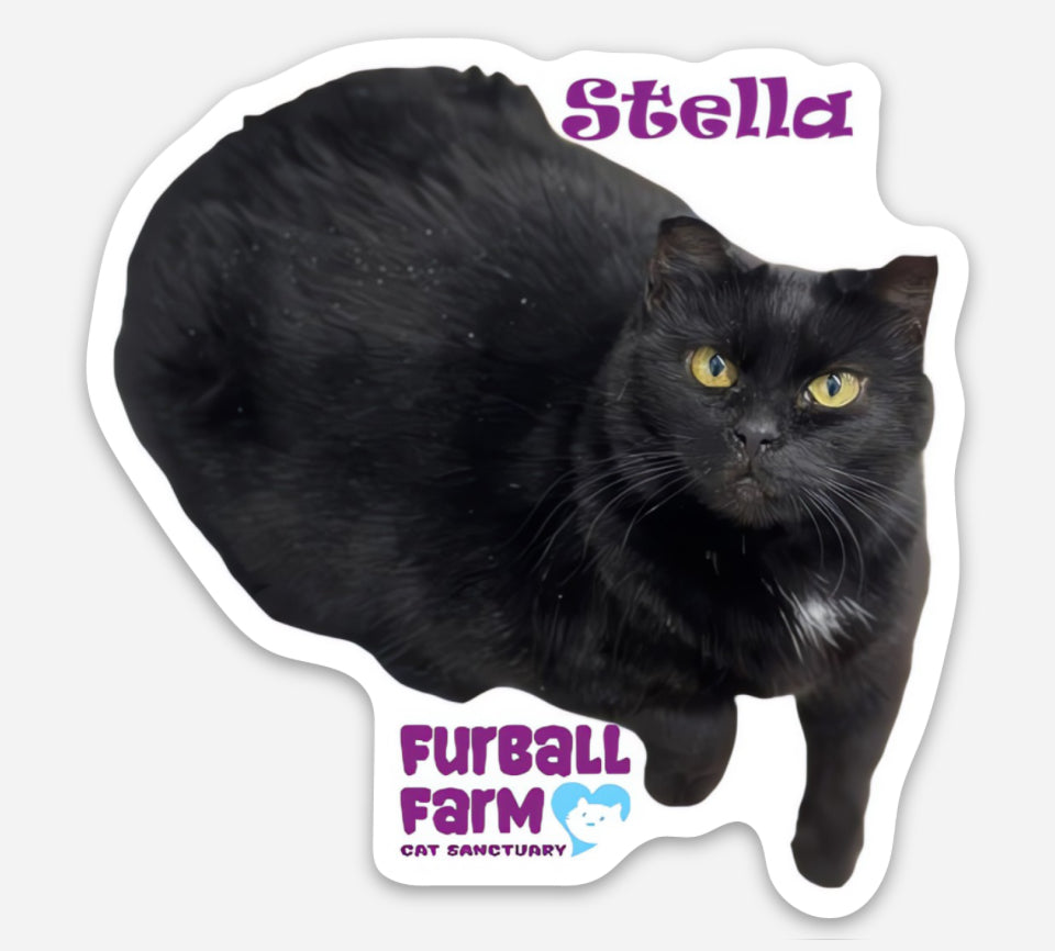 Furball Farm Cat Magnet