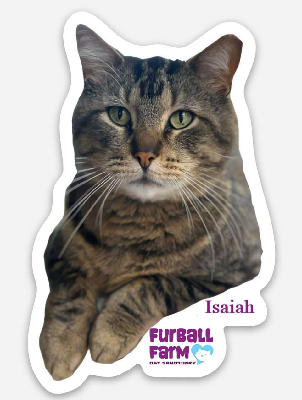 Furball Farm Cat Magnet