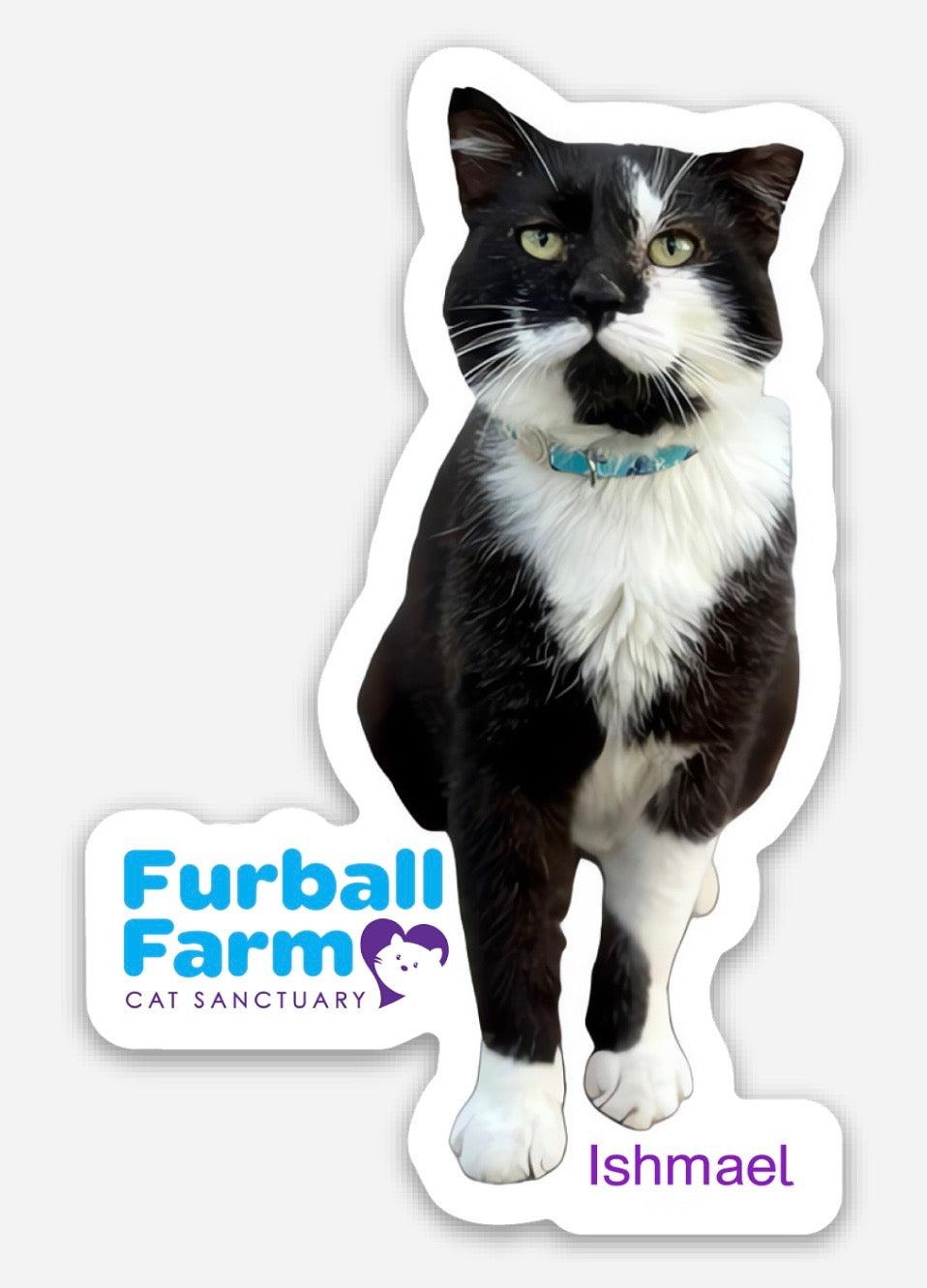 Furball Farm Cat Magnet