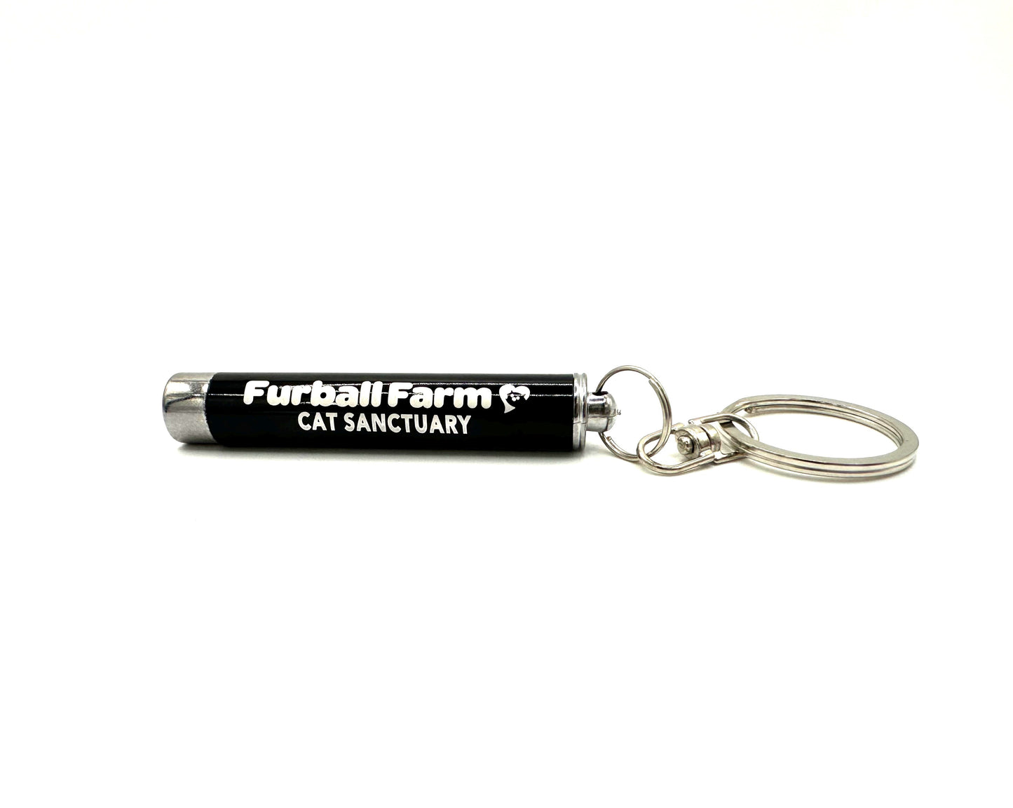 Laser Pointer and LED Flashlight Keychain