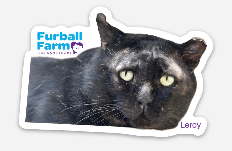 Furball Farm Cat Magnet