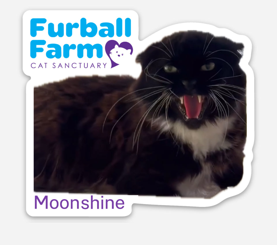 Furball Farm Cat Magnet