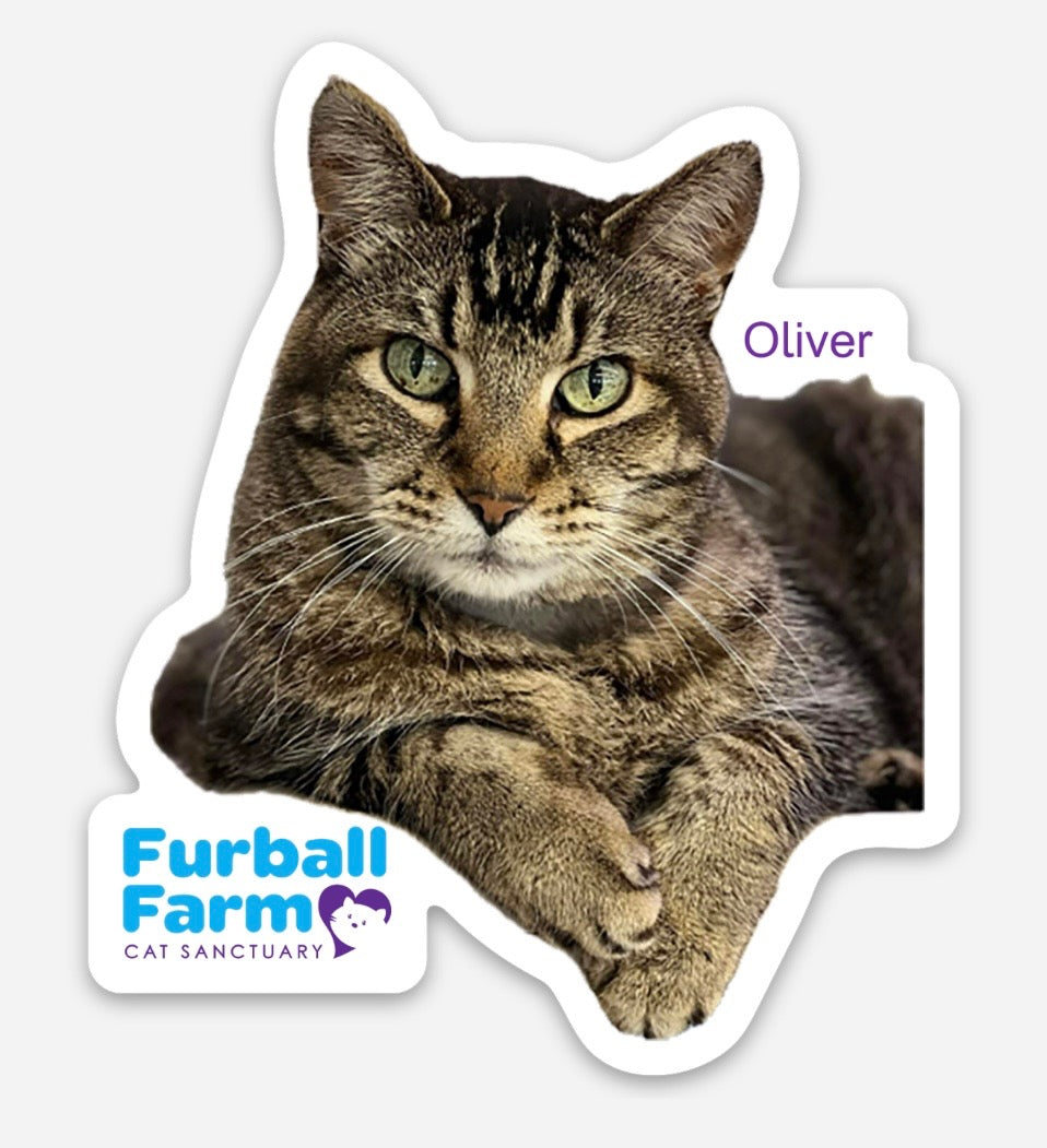 Furball Farm Cat Magnet