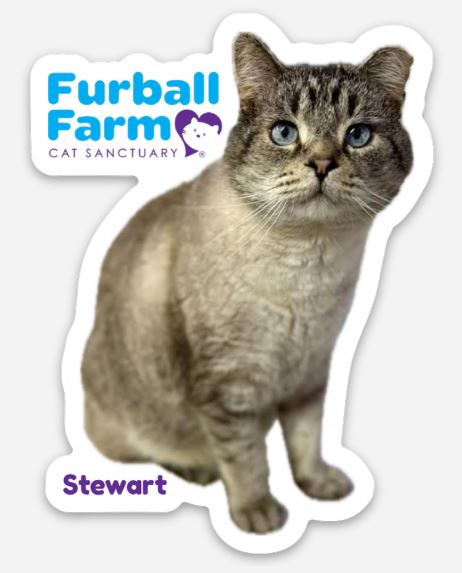 Furball Farm Cat Magnet