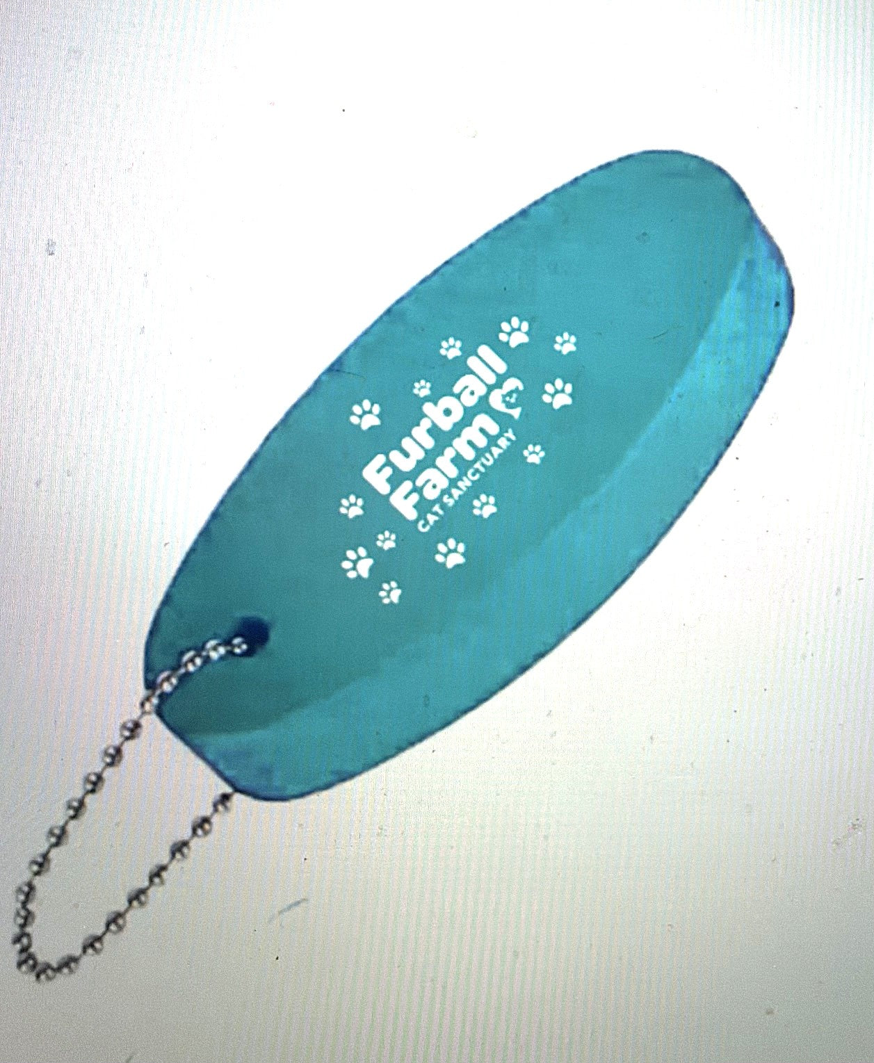 Key Chain Floaties