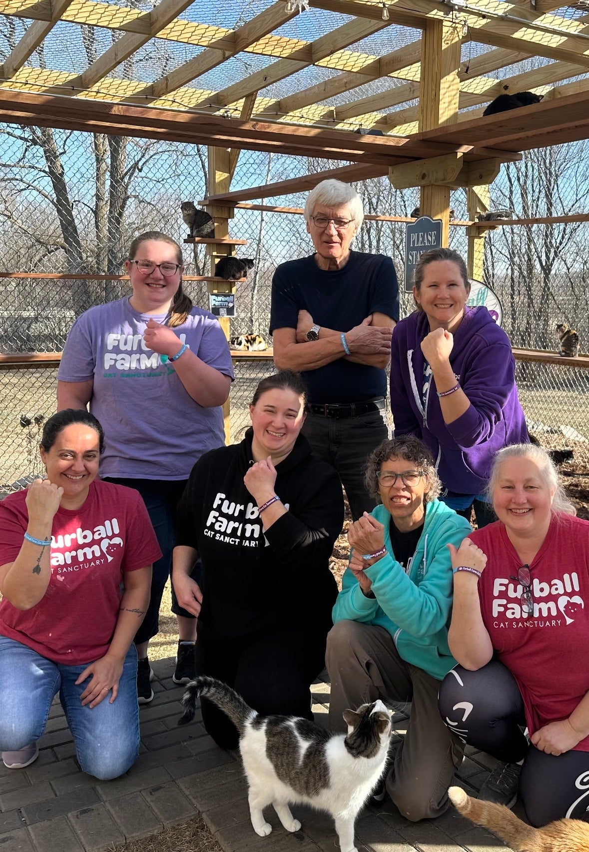 Furball Farm Wristband