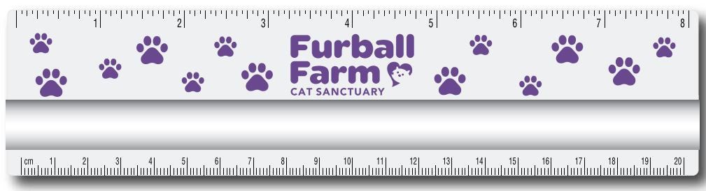 Magnifying Ruler