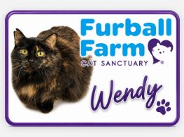 Furball Farm Cat Magnet