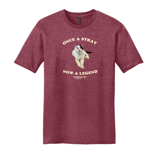 Abraham Shirt of The Month