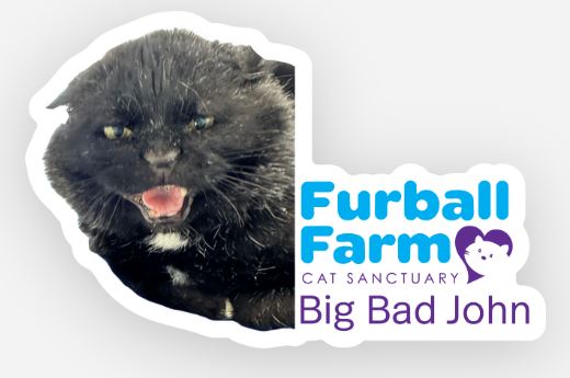 Furball Farm Cat Magnet