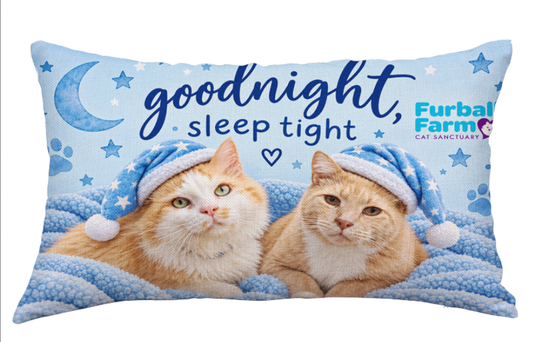 Pillow Case King Size