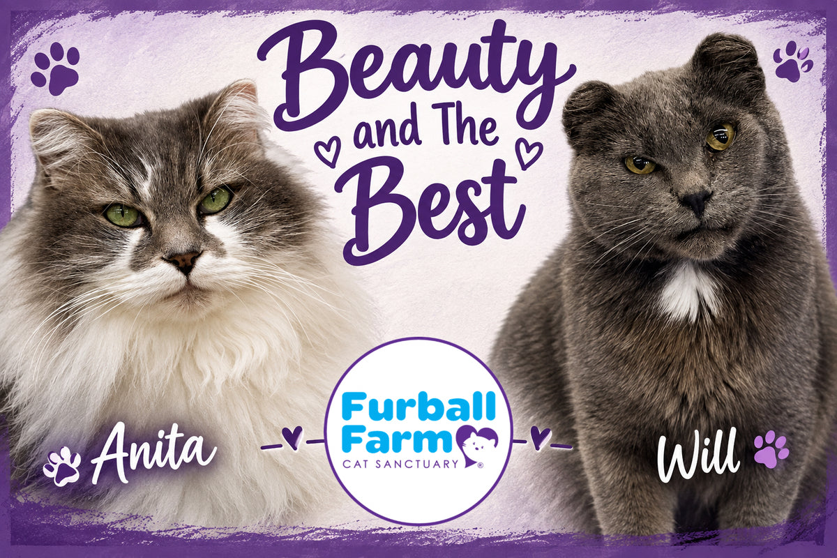 Furball Farm Cat Magnet