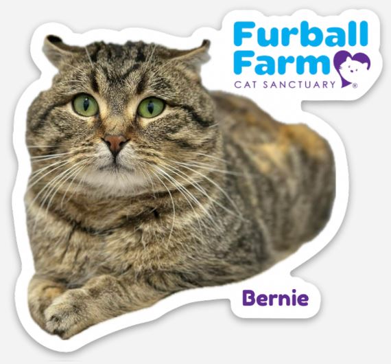 Furball Farm Cat Magnet