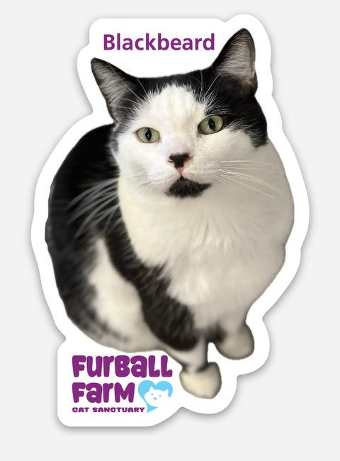 Furball Farm Cat Magnet