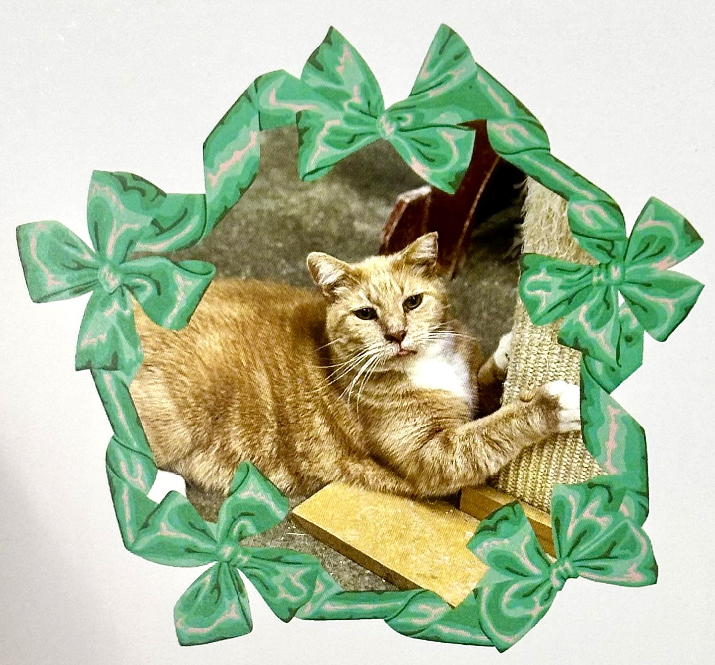 Furball Farm Holiday Cards