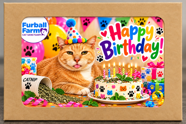 Furball Farm Greeting Cards