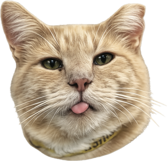 FFCS Cat Tattoos