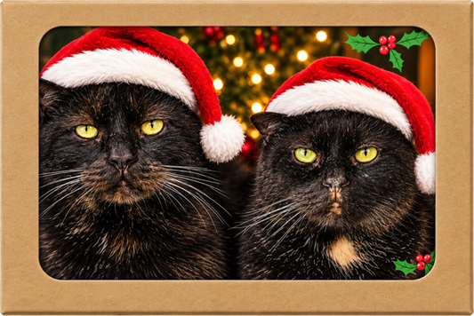 Furball Farm Greeting Cards