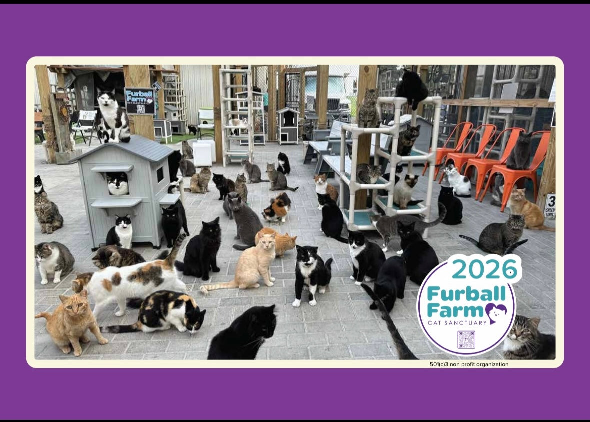 Furball Farm Calendar - 2026
