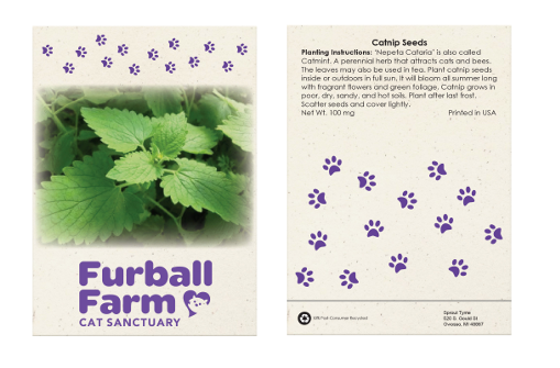 Catnip Seeds