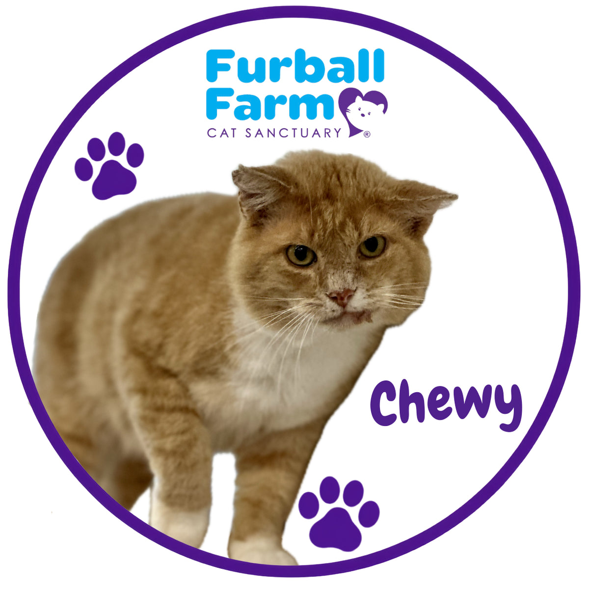 Furball Farm Cat Magnet