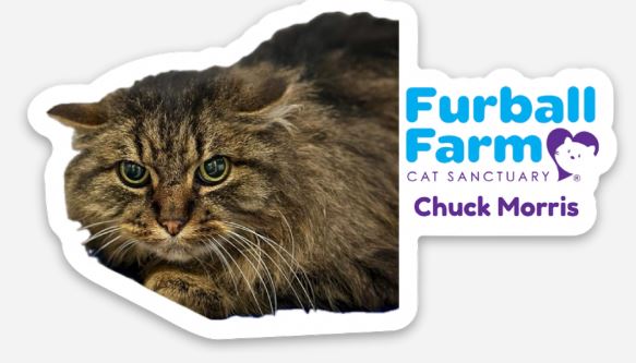 Furball Farm Cat Magnet