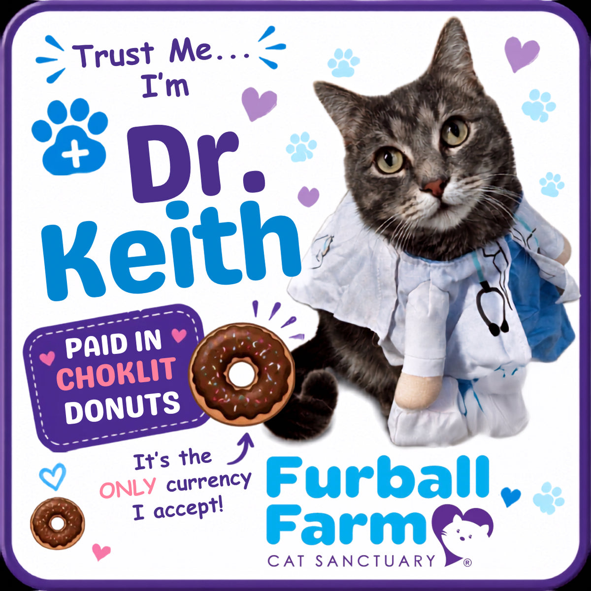 Furball Farm Cat Magnet